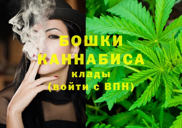 ГАЛЛЮЦИНОГЕННЫЕ ГРИБЫ Бронницы
