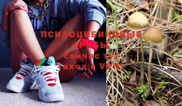 дживик Бугульма