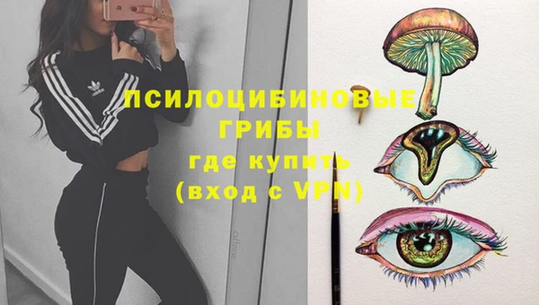 ГАЛЛЮЦИНОГЕННЫЕ ГРИБЫ Бронницы
