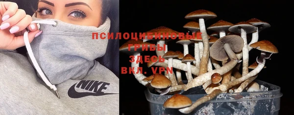 дживик Бугульма