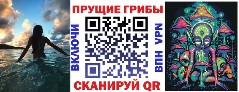 даркнет сайт  Выборг  Галлюциногенные грибы ЛСД 