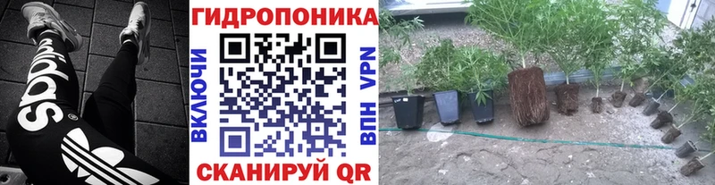 купить   Выборг  shop клад  Канабис AK-47 